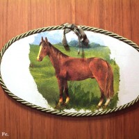 stanza del cavallo